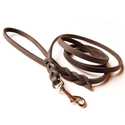 Dog Leads