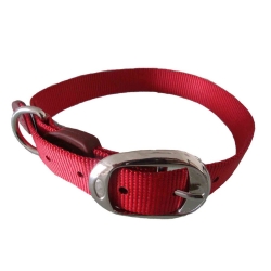 Dog Collar