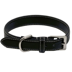 Dog Collar