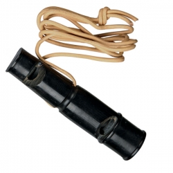 Dog Training Whistle